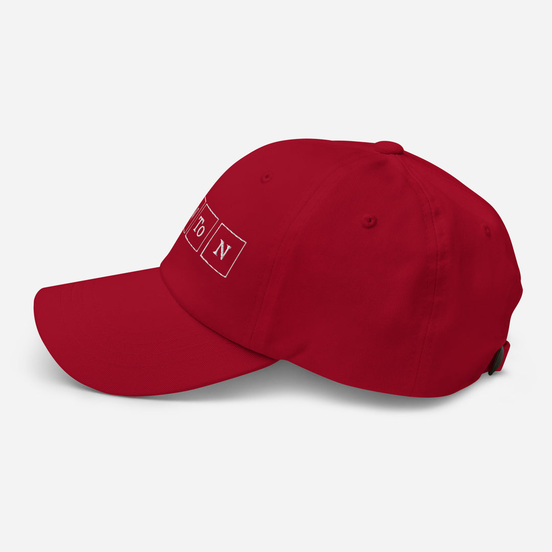 Newton Cap Embroidery