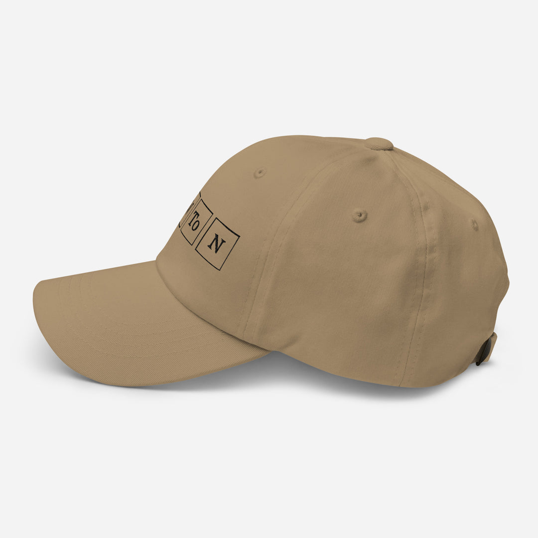 Newton Cap Embroidery