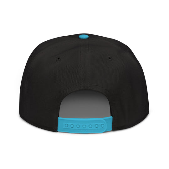 Newton   Snapback Cap Embroidery