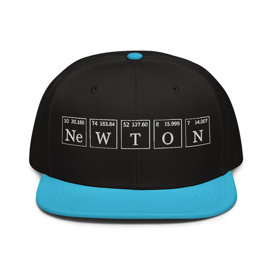 Newton   Snapback Cap Embroidery