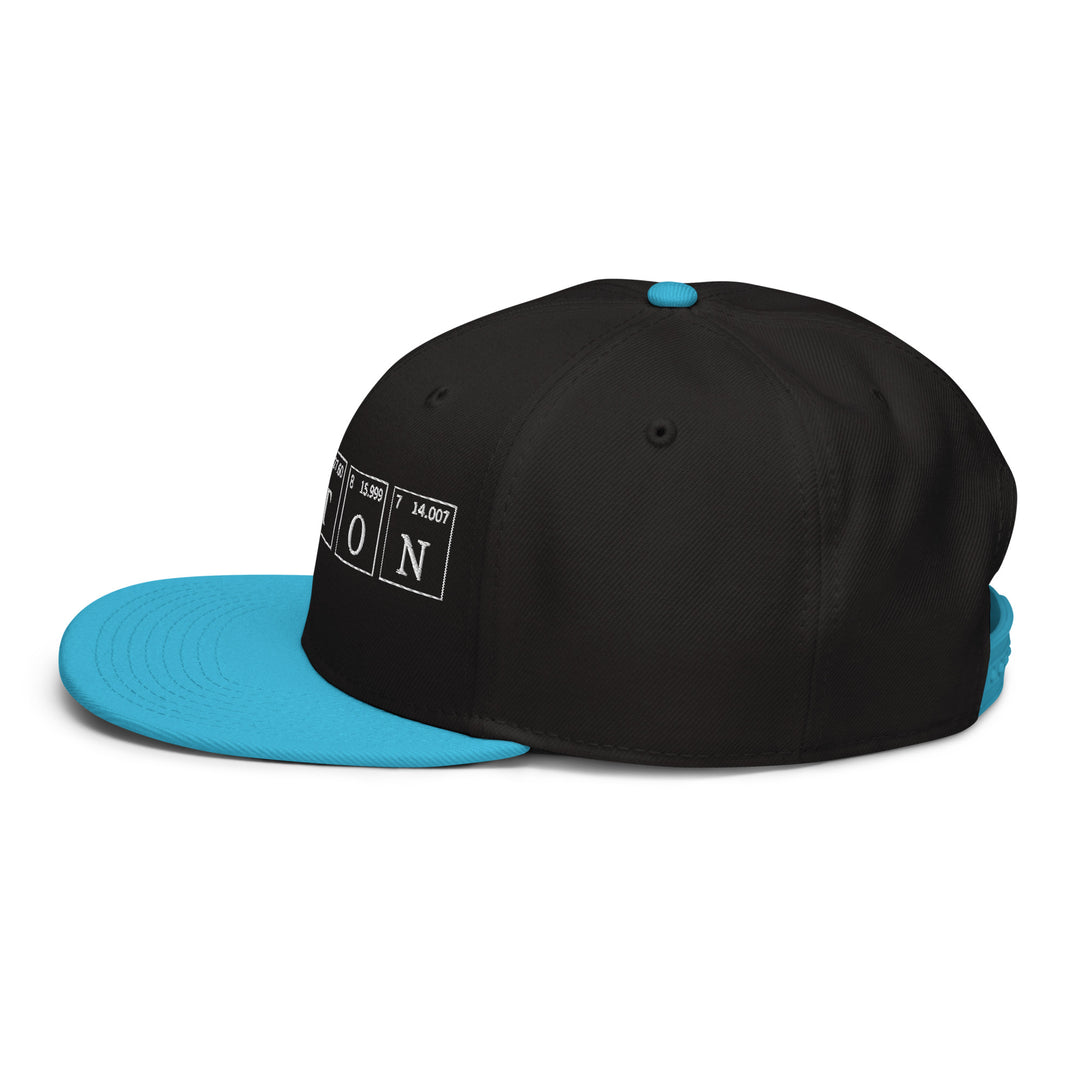 Newton   Snapback Cap Embroidery