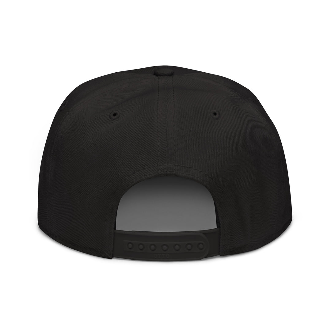 Newton man   Snapback Cap Embroidery