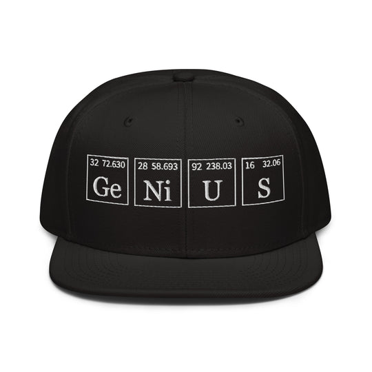 Genius   Snapback Cap Embroidery