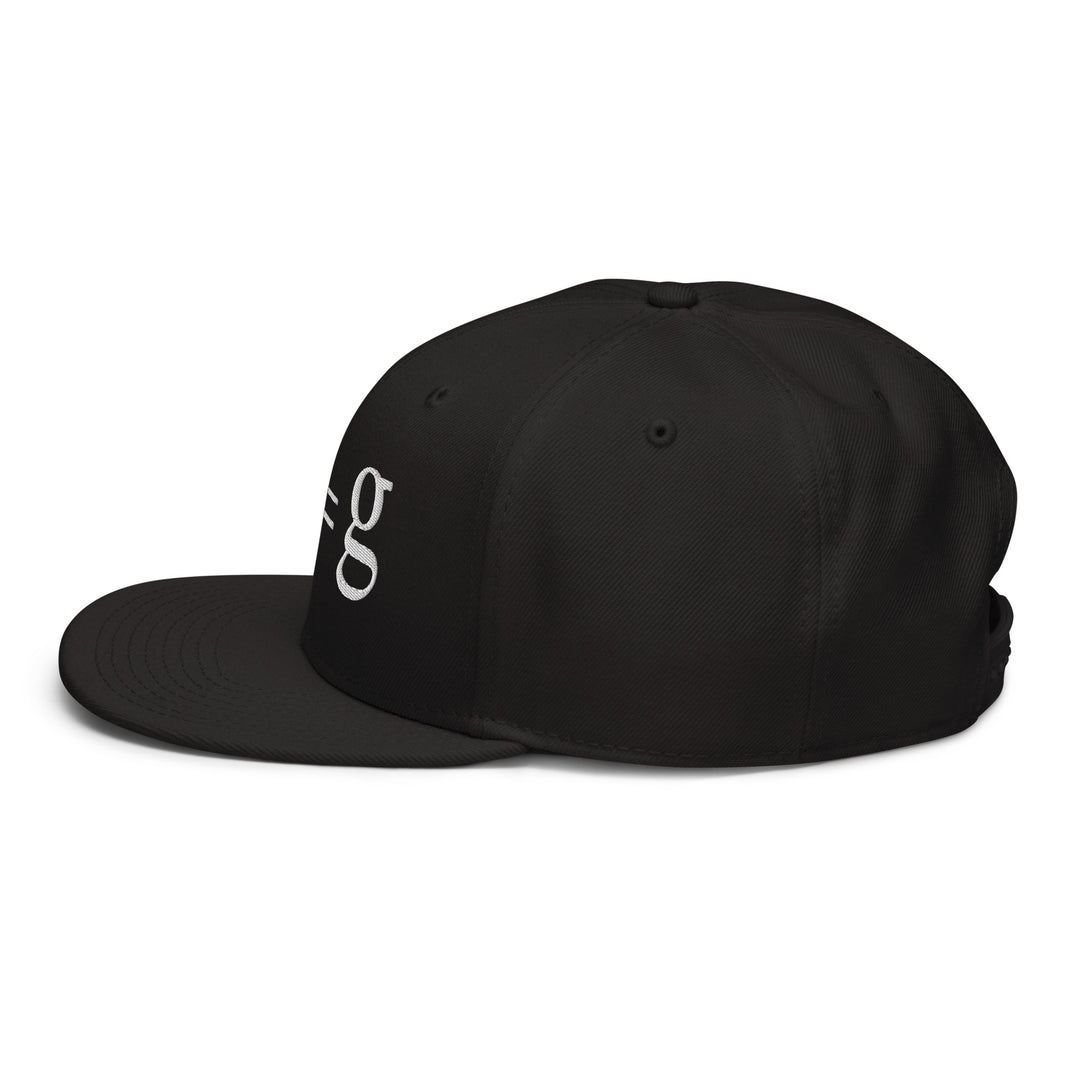 π² = g   Snapback Cap Embroidery