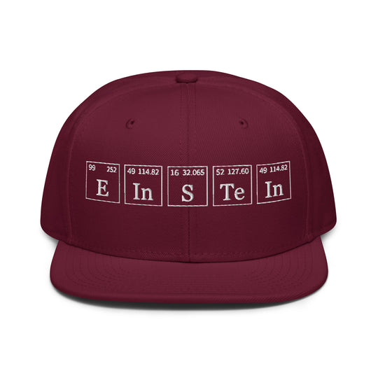 Einstein   Snapback Cap Embroidery