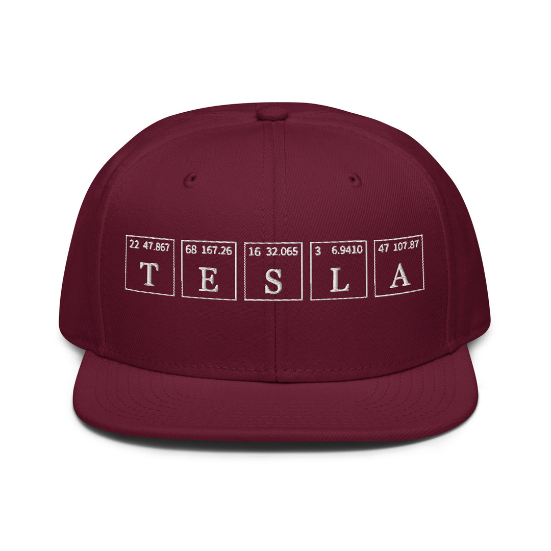 Tesla   Snapback Cap Embroidery