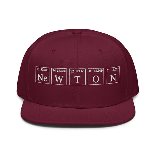 Newton   Snapback Cap Embroidery