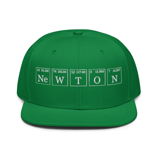 Newton   Snapback Cap Embroidery