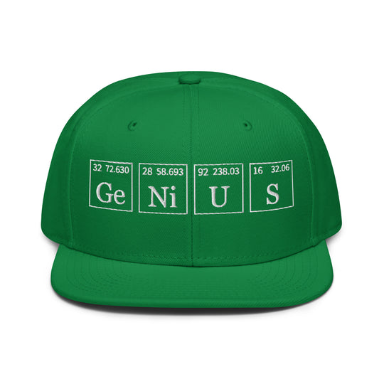 Genius   Snapback Cap Embroidery