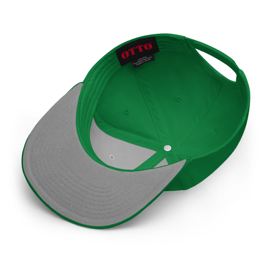 Physicist   Snapback Cap Embroidery