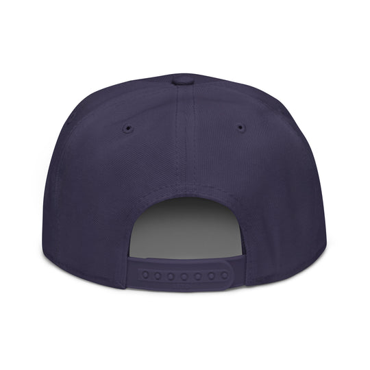 Newton man   Snapback Cap Embroidery