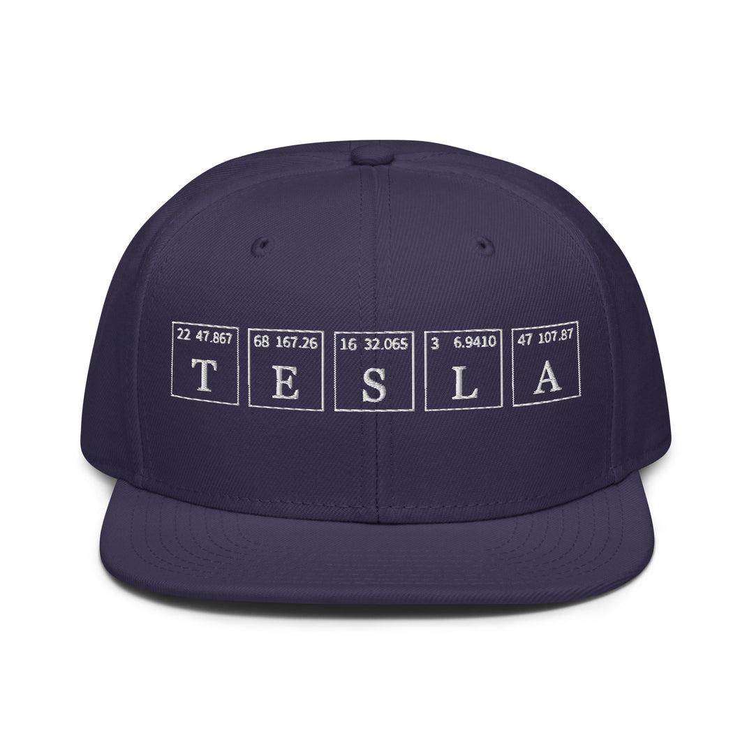 Tesla   Snapback Cap Embroidery