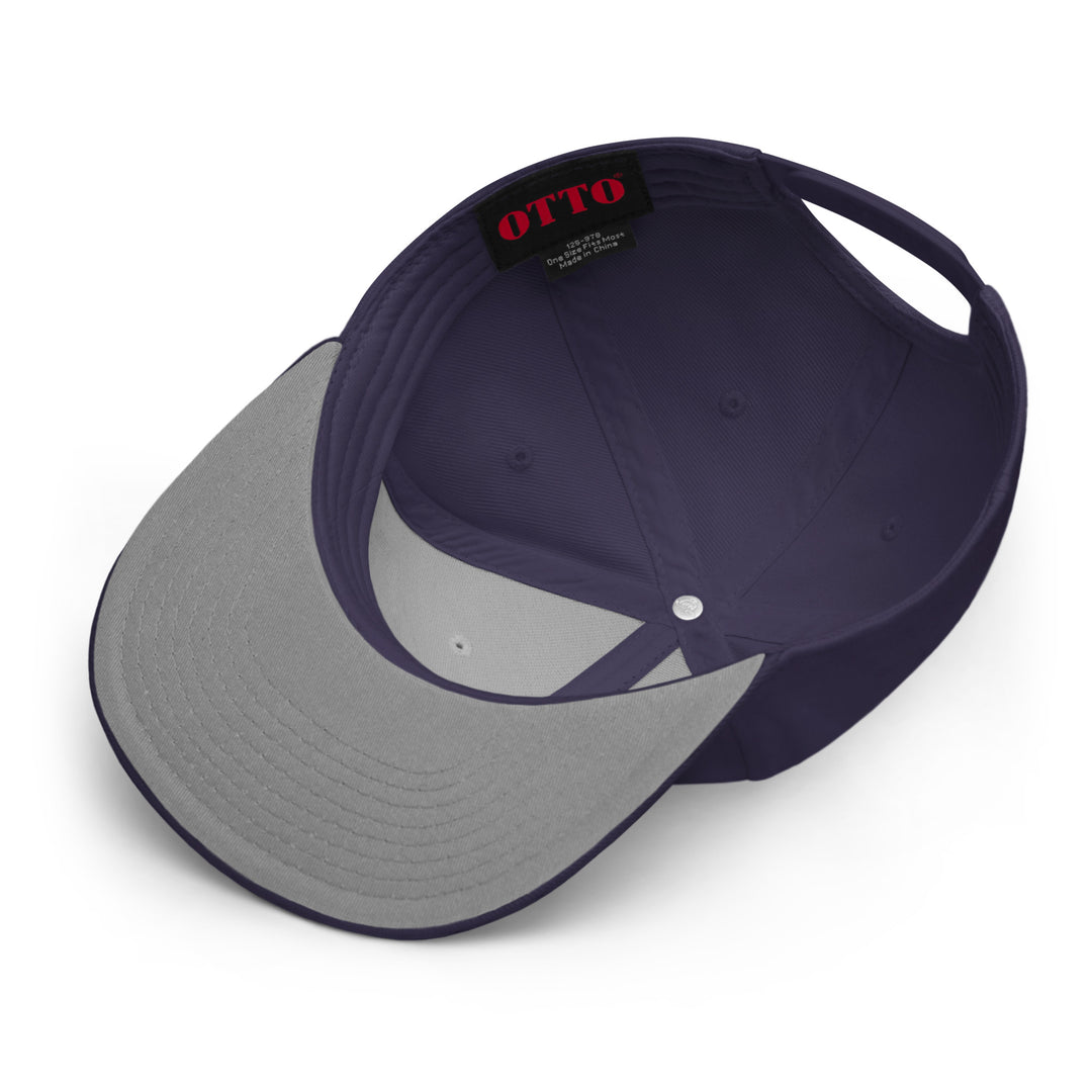 Atom   Snapback Cap Embroidery