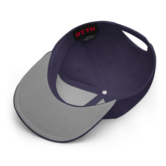 Physics  Snapback Cap Embroidery