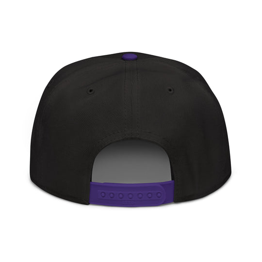 Newton   Snapback Cap Embroidery