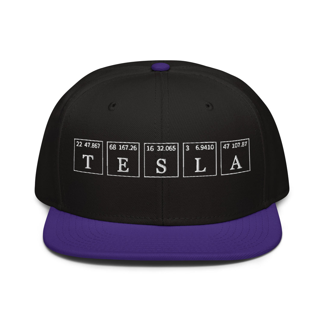 Tesla   Snapback Cap Embroidery