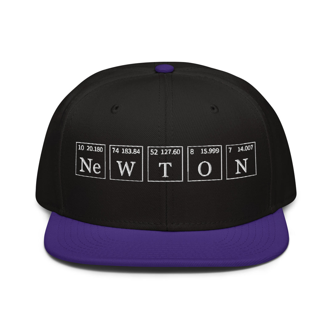 Newton   Snapback Cap Embroidery