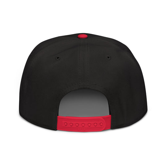 π = 3   Snapback Cap Embroidery