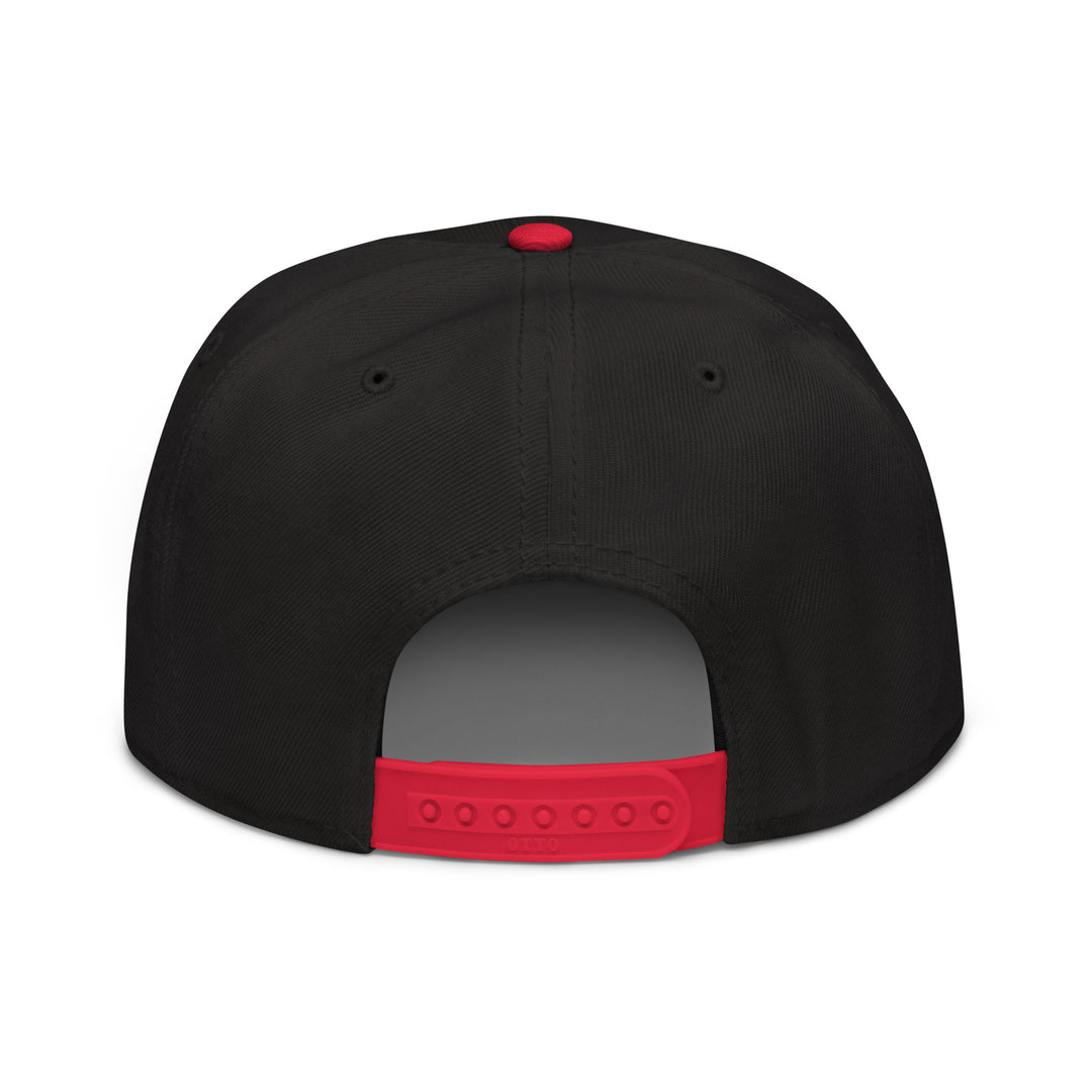 Newton man   Snapback Cap Embroidery