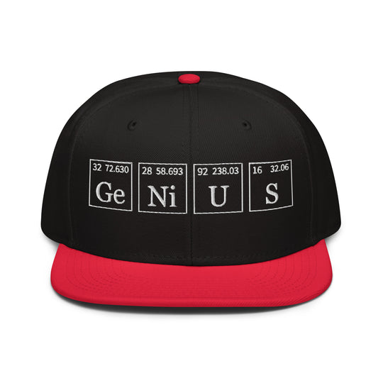 Genius   Snapback Cap Embroidery