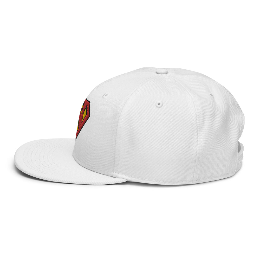 Newton man   Snapback Cap Embroidery