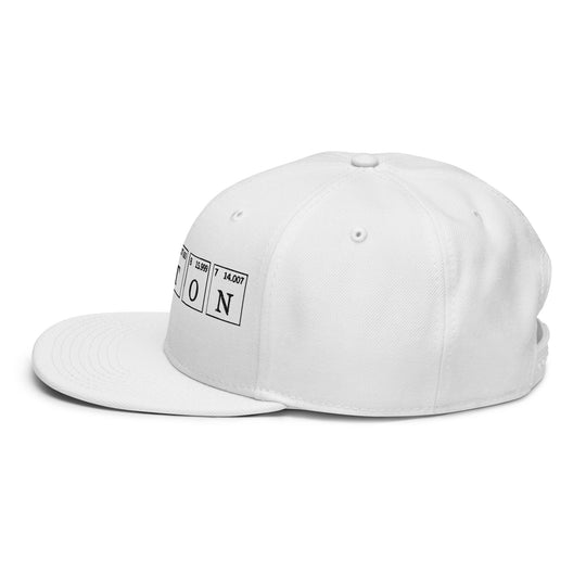 Newton   Snapback Cap Embroidery