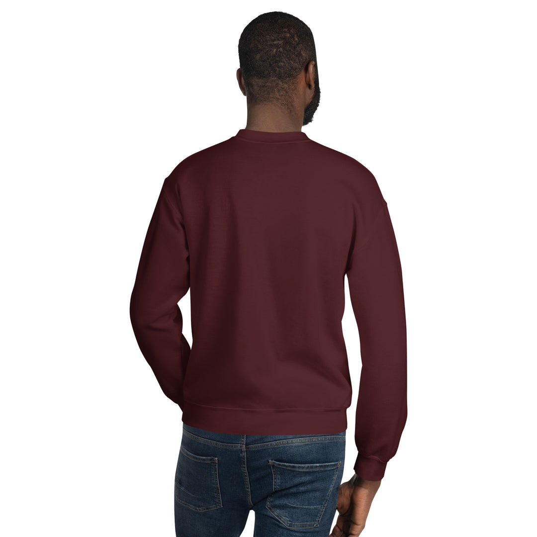 Newton man Sweatshirt Embroidery