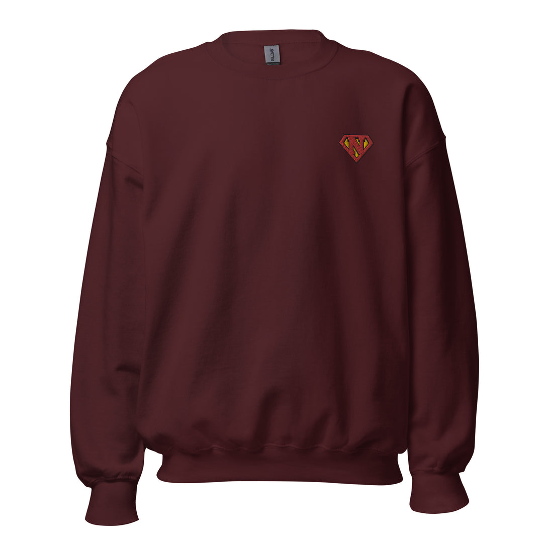 Newton man Sweatshirt Embroidery