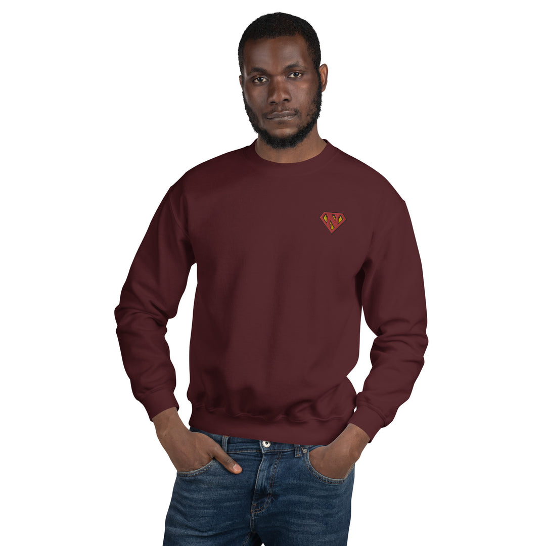 Newton man Sweatshirt Embroidery