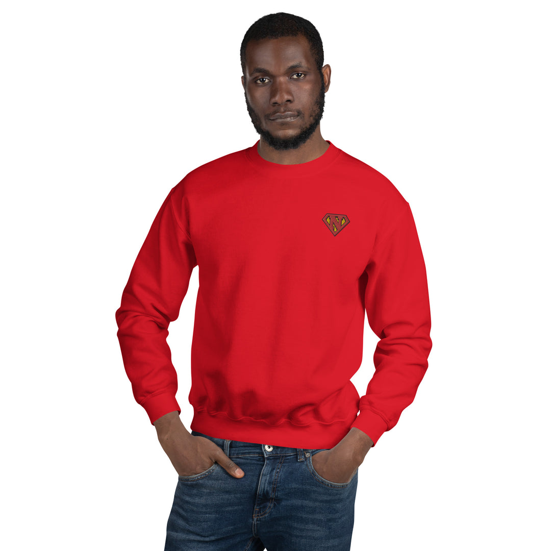 Newton man Sweatshirt Embroidery