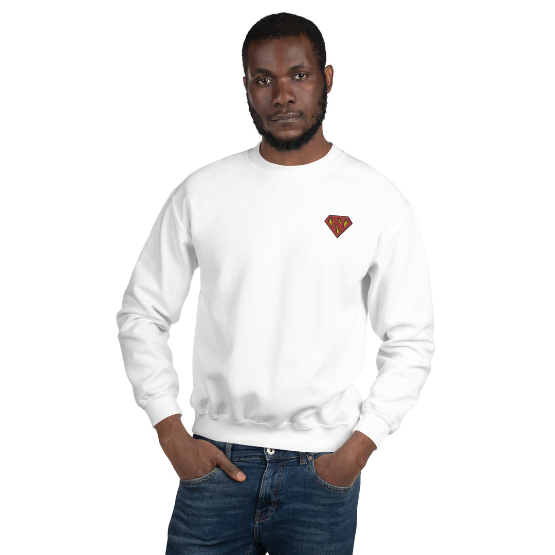 Newton man Sweatshirt Embroidery